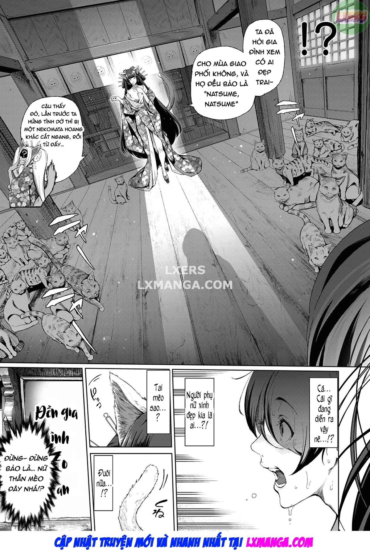 Boy Meets Cat Goddess Chapter 1 - Page 6