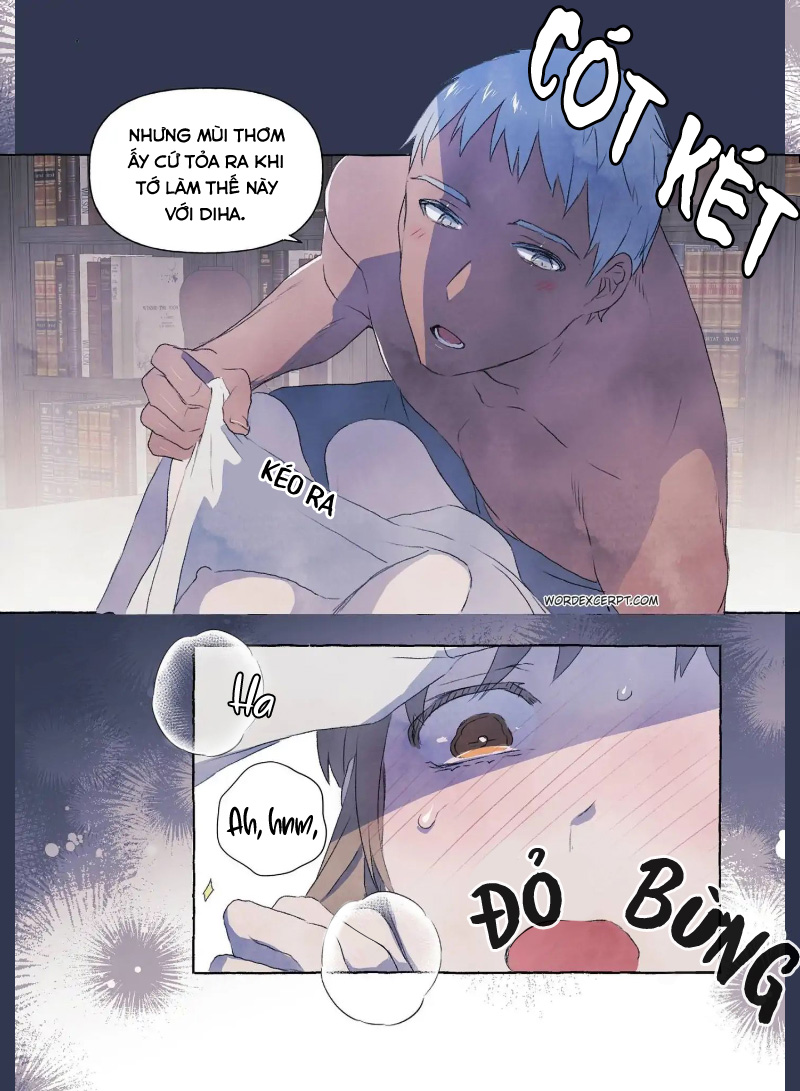 Chàng Khờ Và Tiểu Thư Chap 3 - Page 20