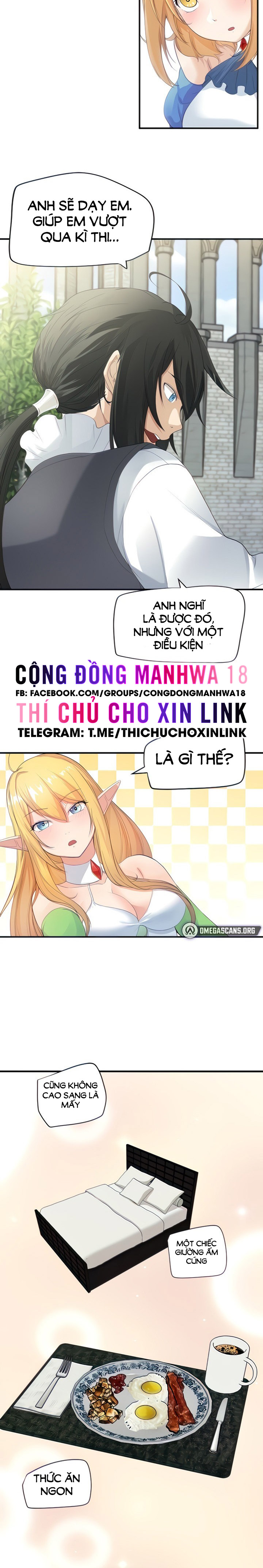 Nô Lệ Tộc Elf - Trang 1